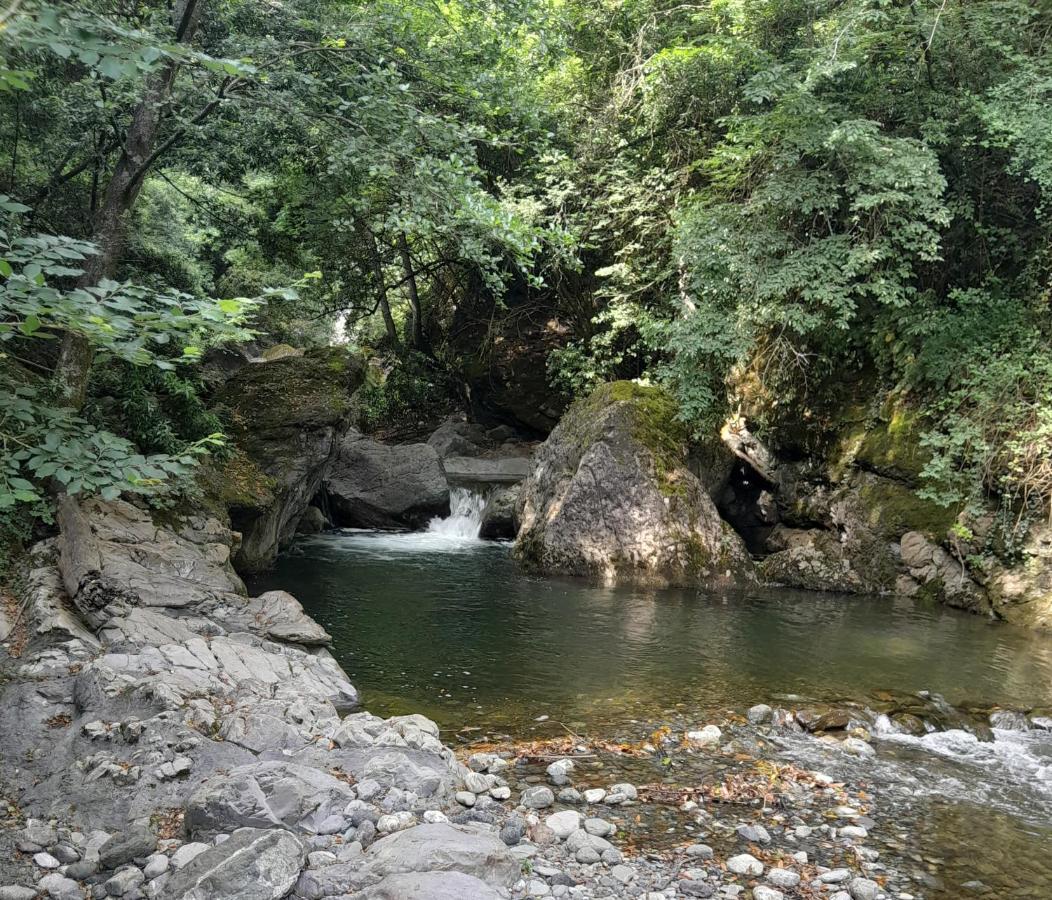 Casa Ylenia Βίλα Borzonasca Εξωτερικό φωτογραφία